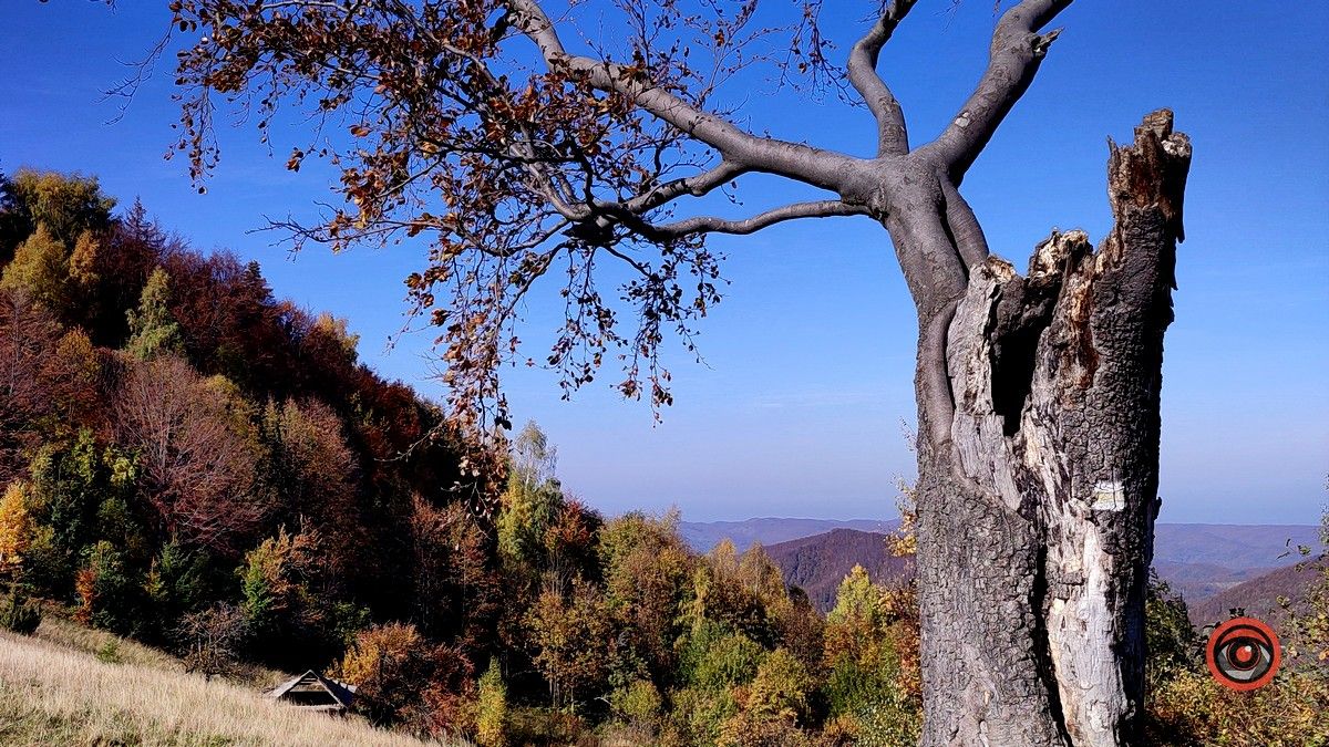 Ще одна фантастична локація для осіннього відпочинку | мальовничий Космач 14