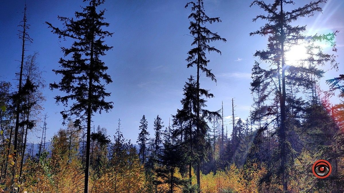 Ще одна фантастична локація для осіннього відпочинку | мальовничий Космач 16