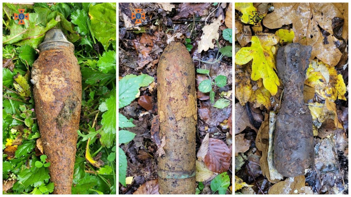 Піротехніки знову мали роботу: снаряд і дві міни знайшли на Прикарпатті 1