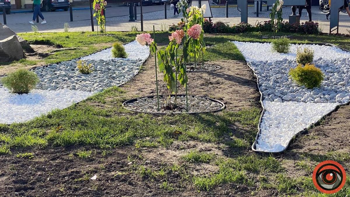 Обнова по-коломийськи: на площі перед ратушею висадили клумбу 4