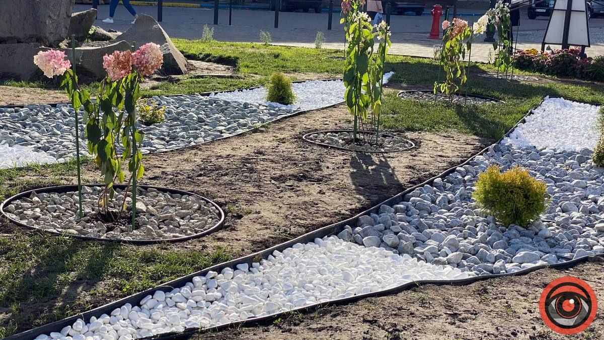 Обнова по-коломийськи: на площі перед ратушею висадили клумбу 3