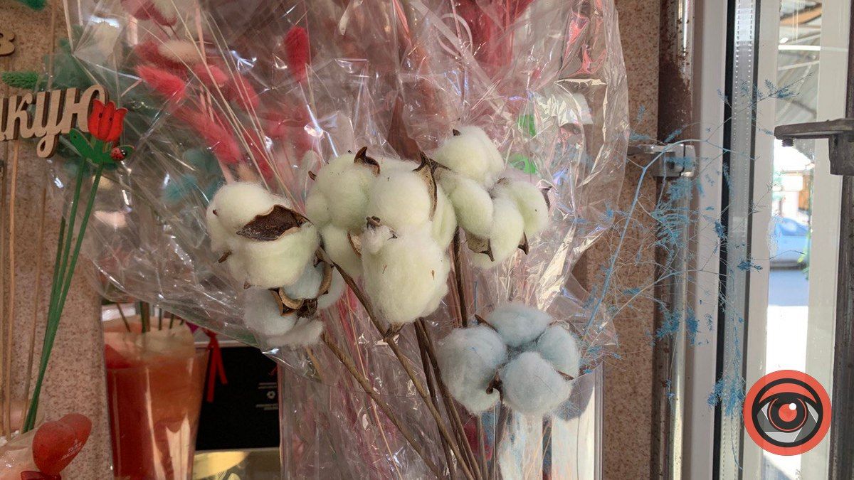 Бавовна у Коломиї: де та за скільки можна купити? 2