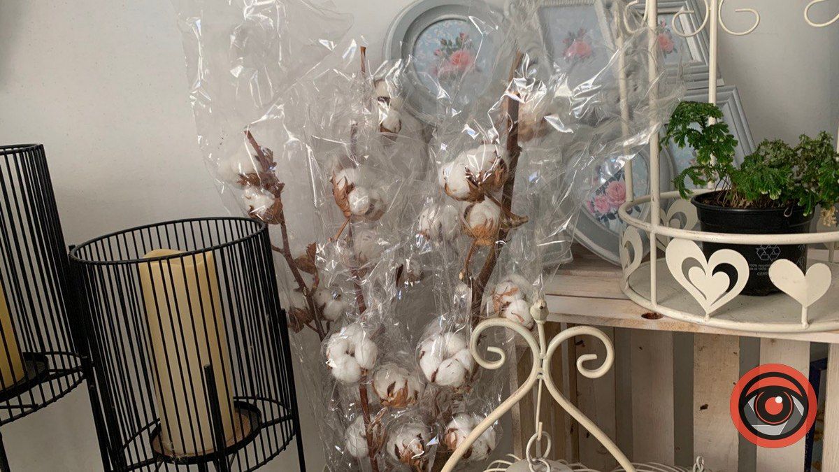 Бавовна у Коломиї: де та за скільки можна купити? 3