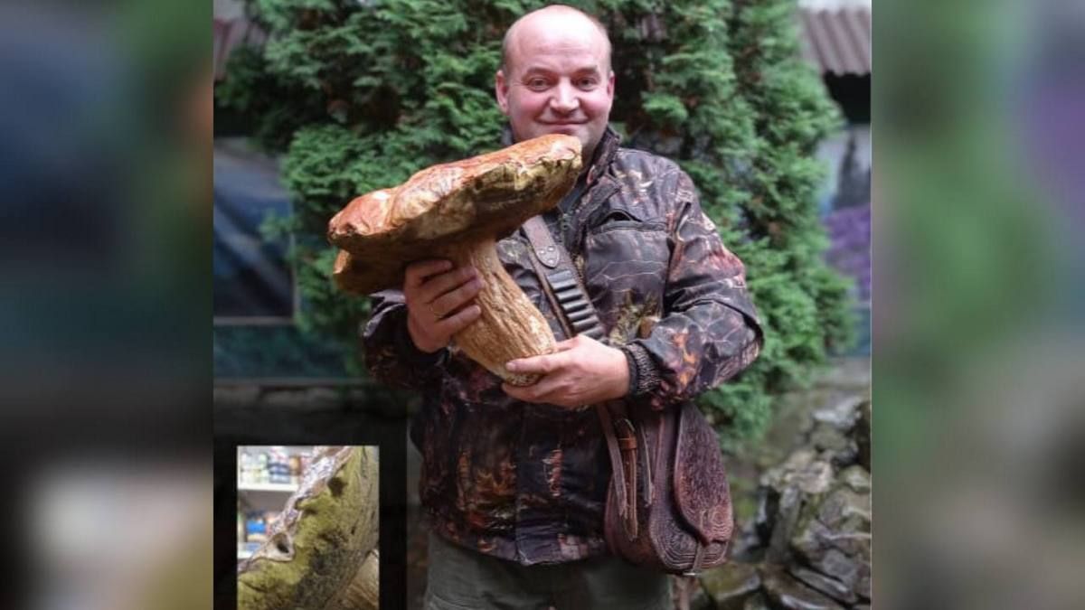 Юшки на цілу роту вистачить: велетенського гриба знайшли у Карпатах