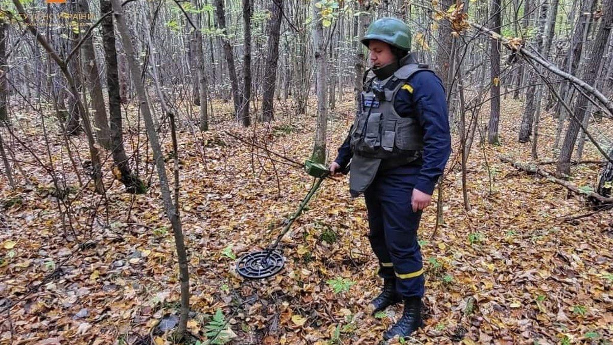 У двох селах неподалік Коломиї виявили небезпечні знахідки