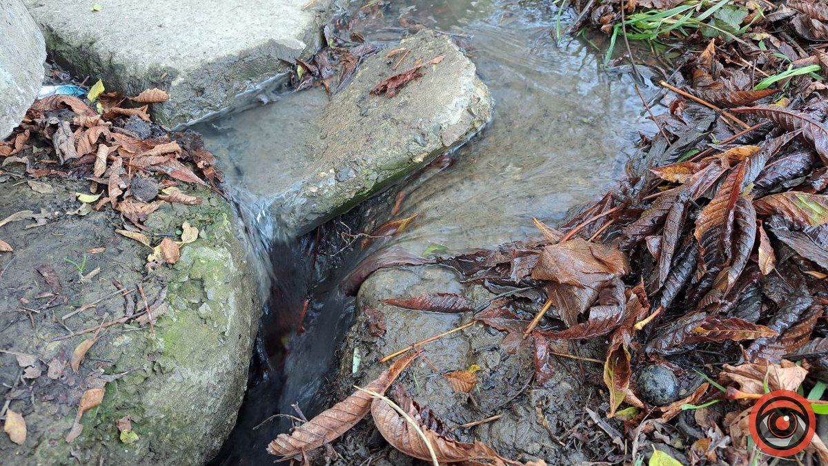 Каналізаційні ріки на вулиці Богуна в Коломиї не помічають комунальники 17