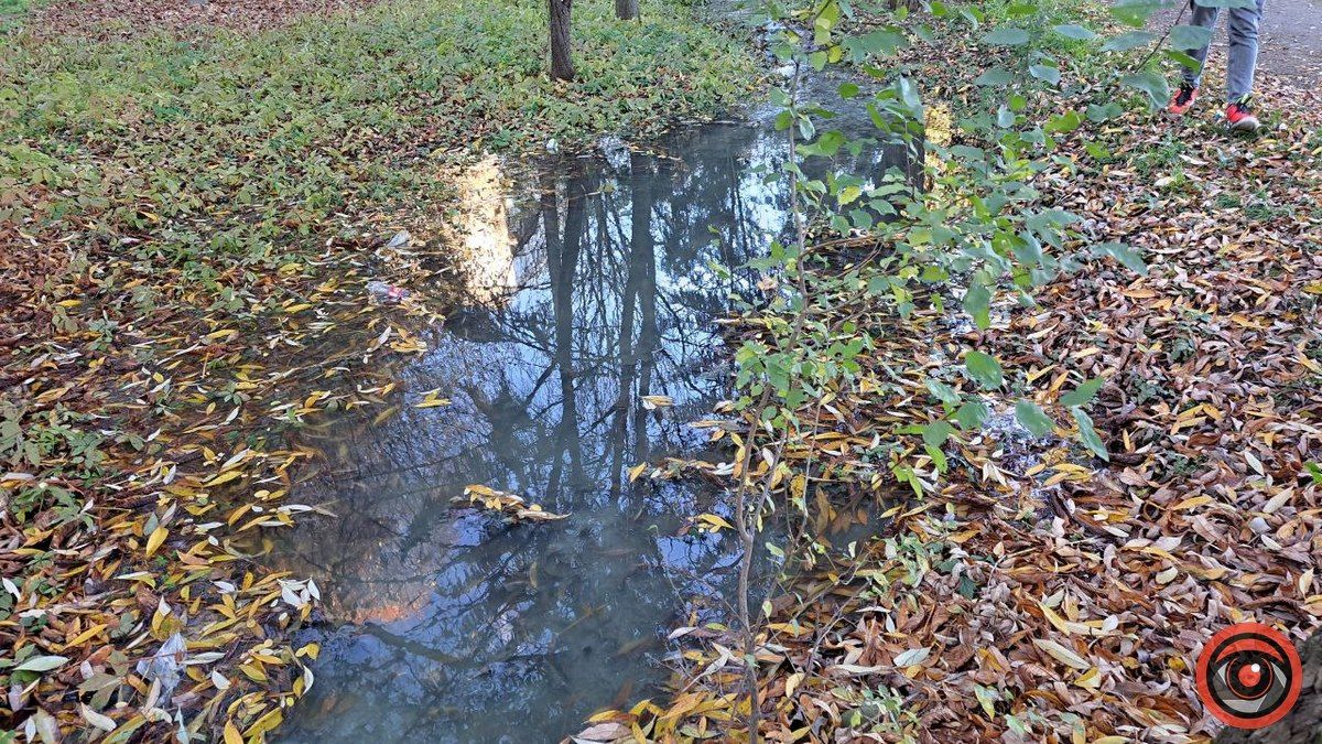 Каналізаційні ріки на вулиці Богуна в Коломиї не помічають комунальники 15