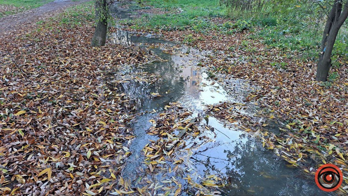 Каналізаційні ріки на вулиці Богуна в Коломиї не помічають комунальники 12