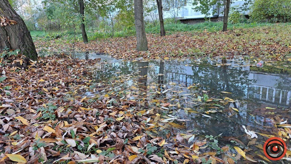 Каналізаційні ріки на вулиці Богуна в Коломиї не помічають комунальники 11