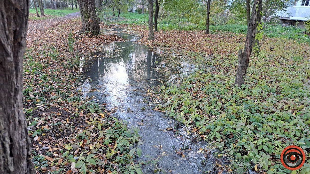 Каналізаційні ріки на вулиці Богуна в Коломиї не помічають комунальники 8