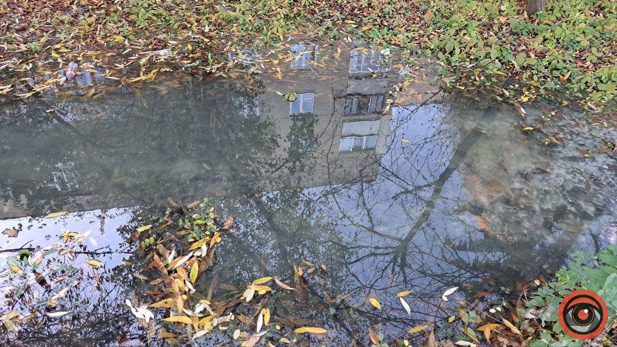 Каналізаційні ріки на вулиці Богуна в Коломиї не помічають комунальники 9