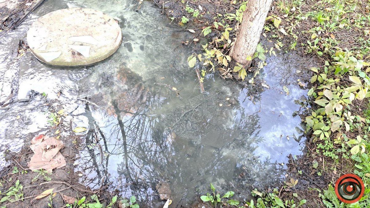 Каналізаційні ріки на вулиці Богуна в Коломиї не помічають комунальники 6