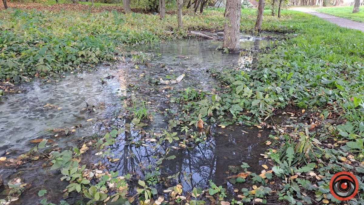 Каналізаційні ріки на вулиці Богуна в Коломиї не помічають комунальники 5