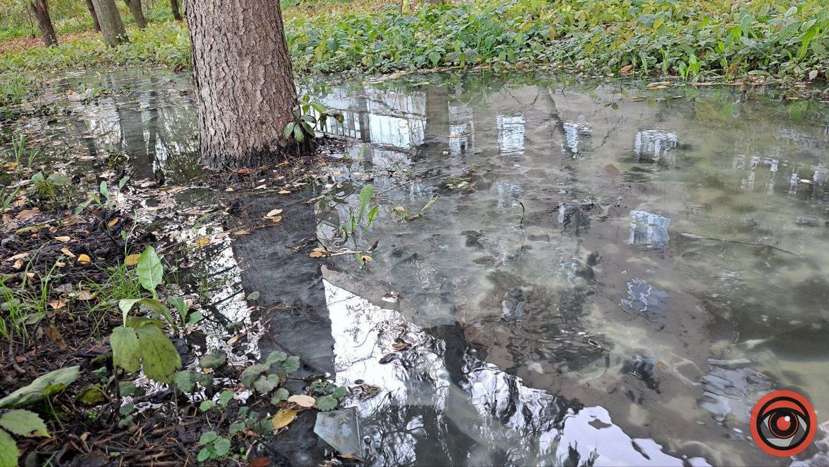 Каналізаційні ріки на вулиці Богуна в Коломиї не помічають комунальники 4