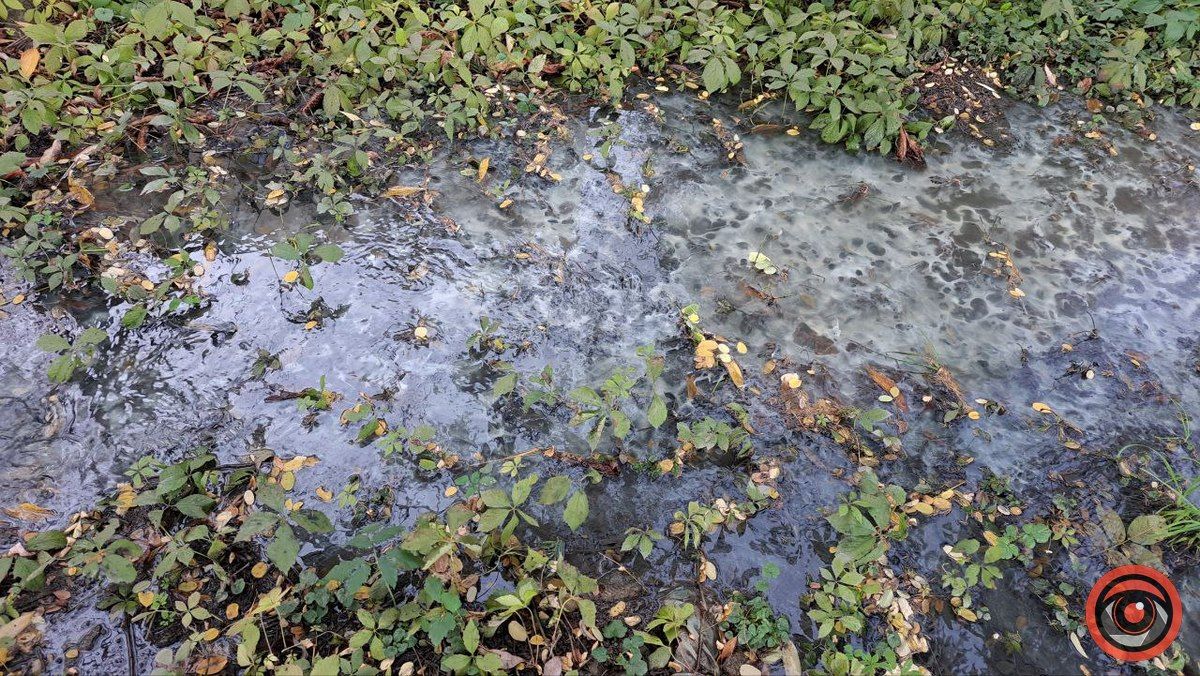 Каналізаційні ріки на вулиці Богуна в Коломиї не помічають комунальники 7