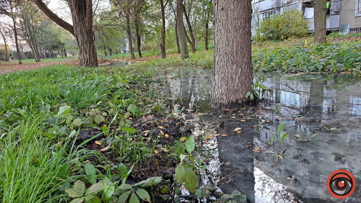 Каналізаційні ріки на вулиці Богуна в Коломиї не помічають комунальники 1