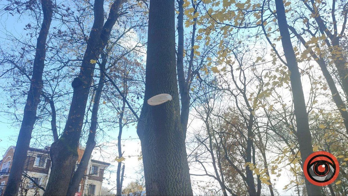 Прогулянки у парку Трильовського стануть трішки безпечнішими 5