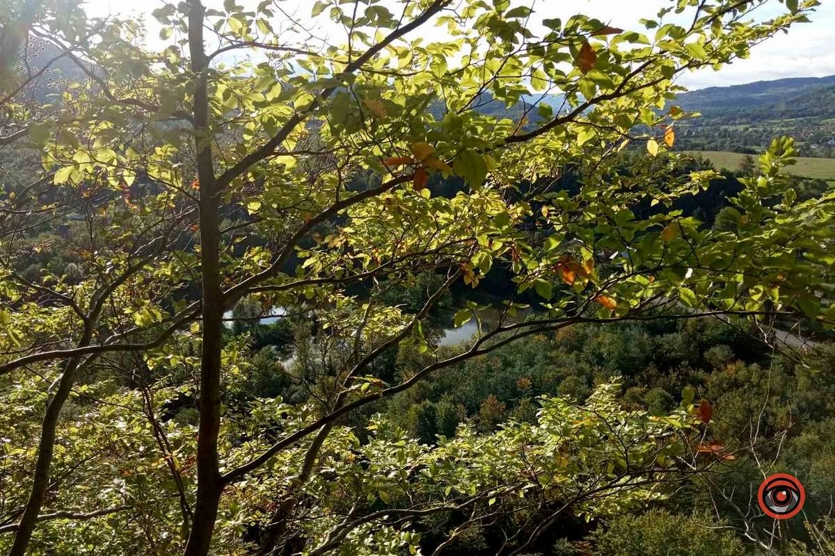 Мальовничий Рушір | осінній відпочинок серед гір та водоспаду 1