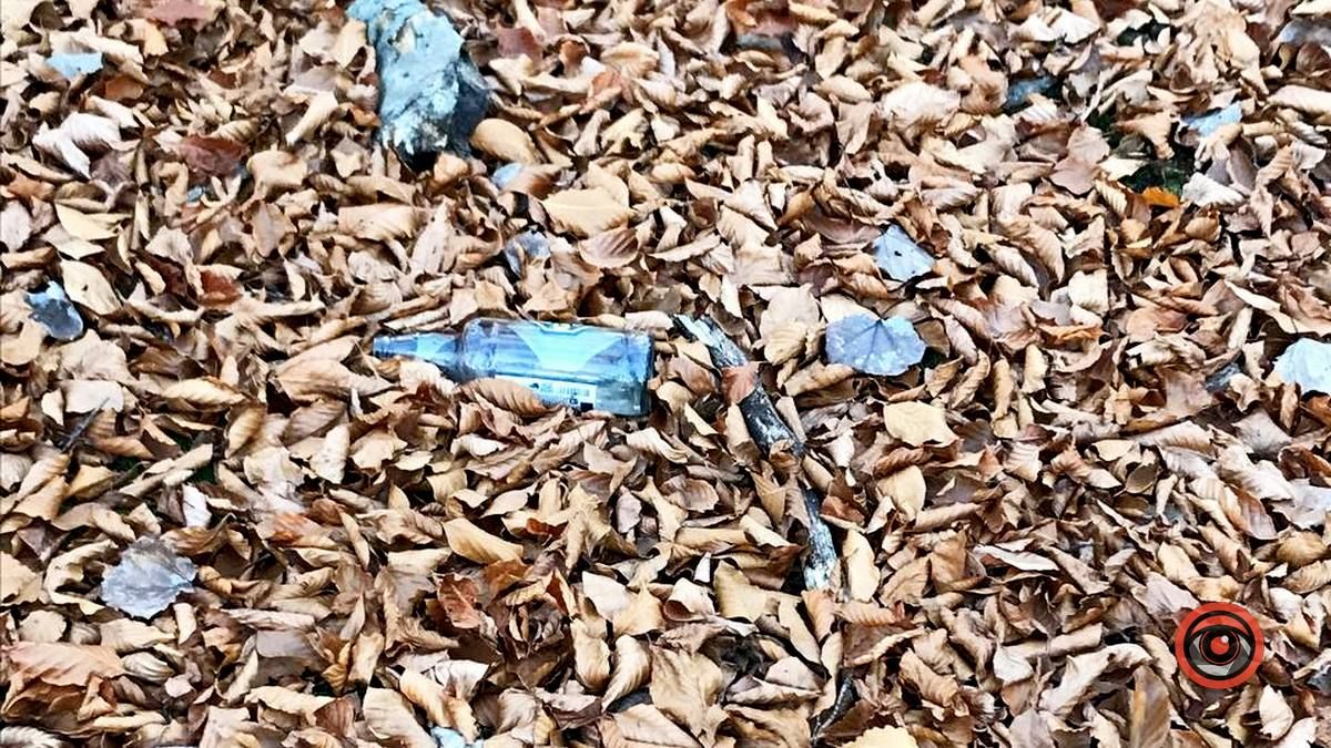 Осінній відпочинок у жовтогарячій лісовій місцині 13