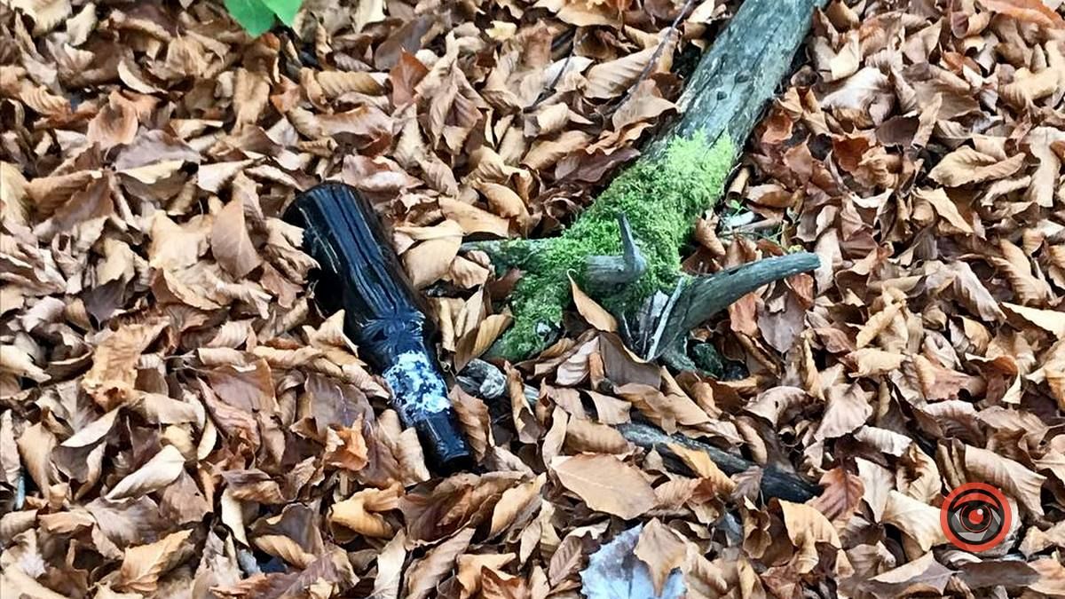 Осінній відпочинок у жовтогарячій лісовій місцині 14