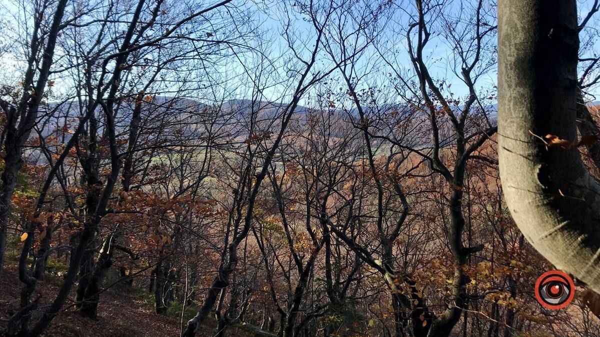 Осінній відпочинок у жовтогарячій лісовій місцині 3