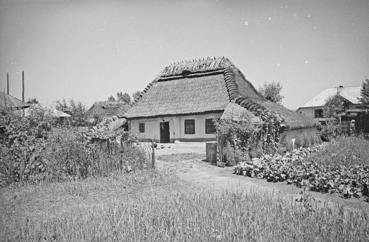 Чепурне село біля Снятина: Тулова понад 100 років тому 3