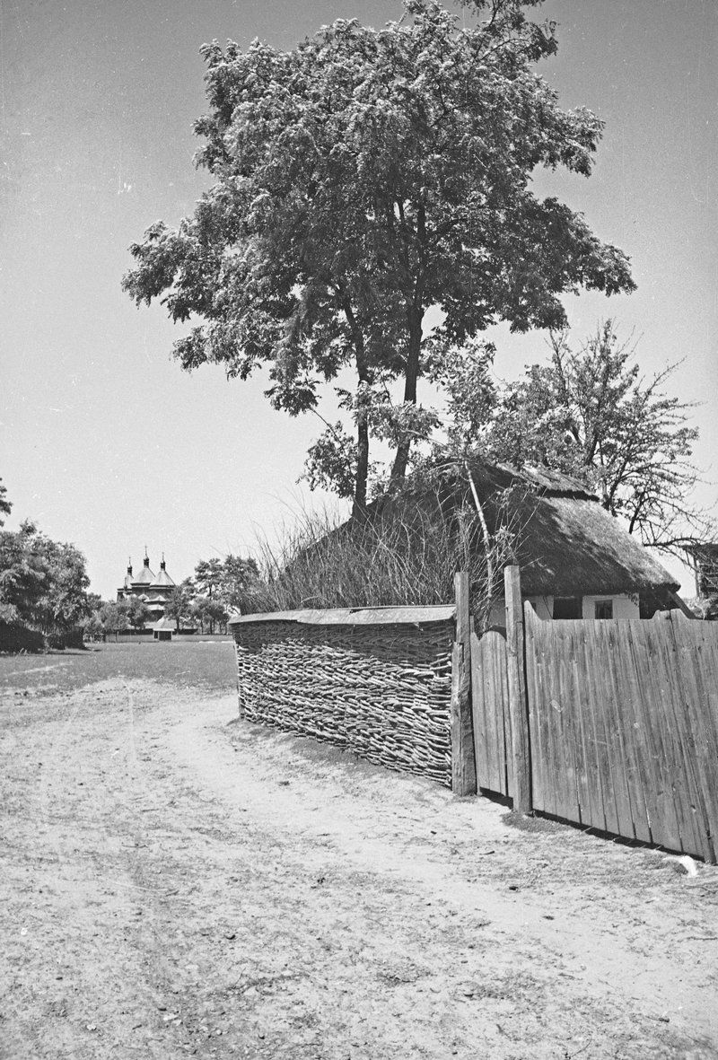 Чепурне село біля Снятина: Тулова понад 100 років тому 11