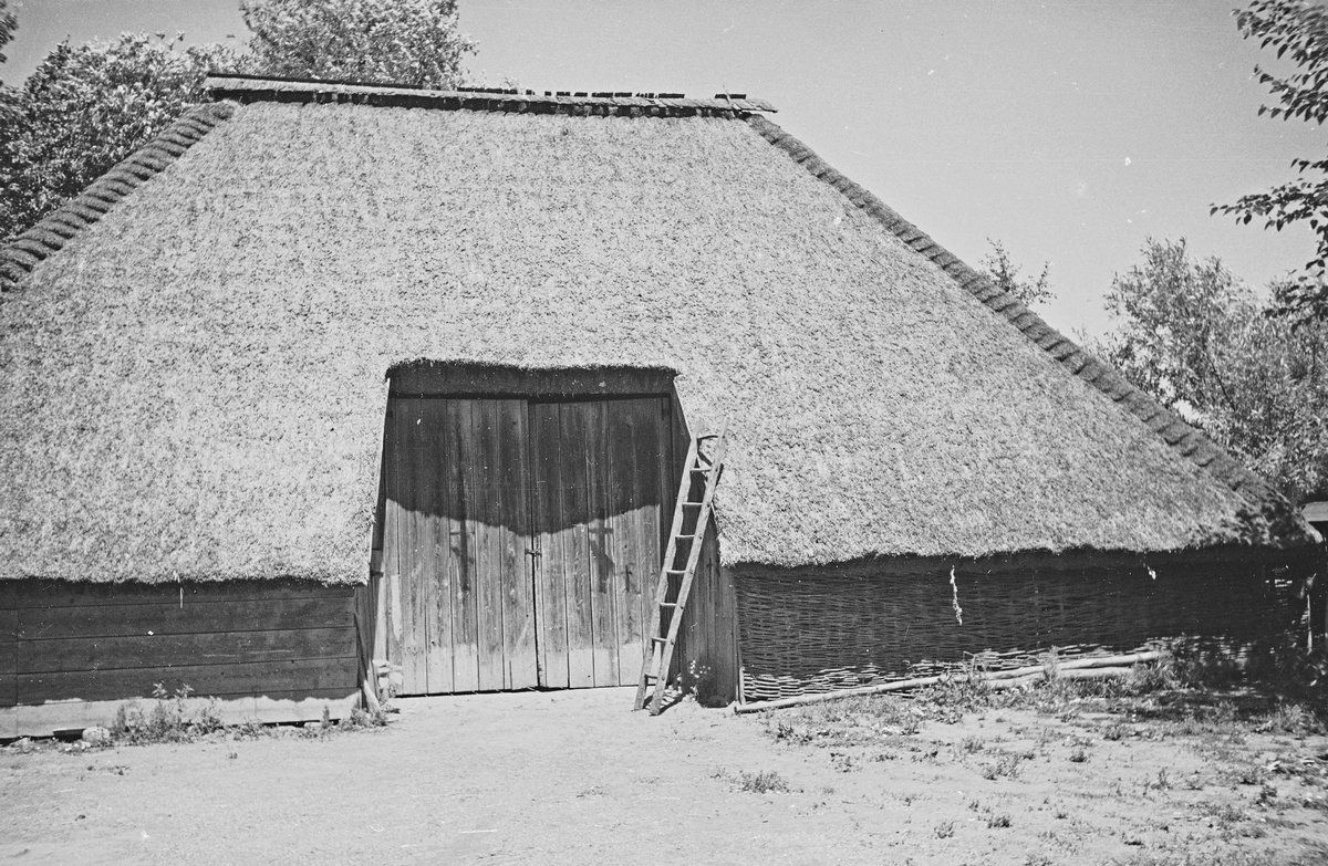 Чепурне село біля Снятина: Тулова понад 100 років тому 6