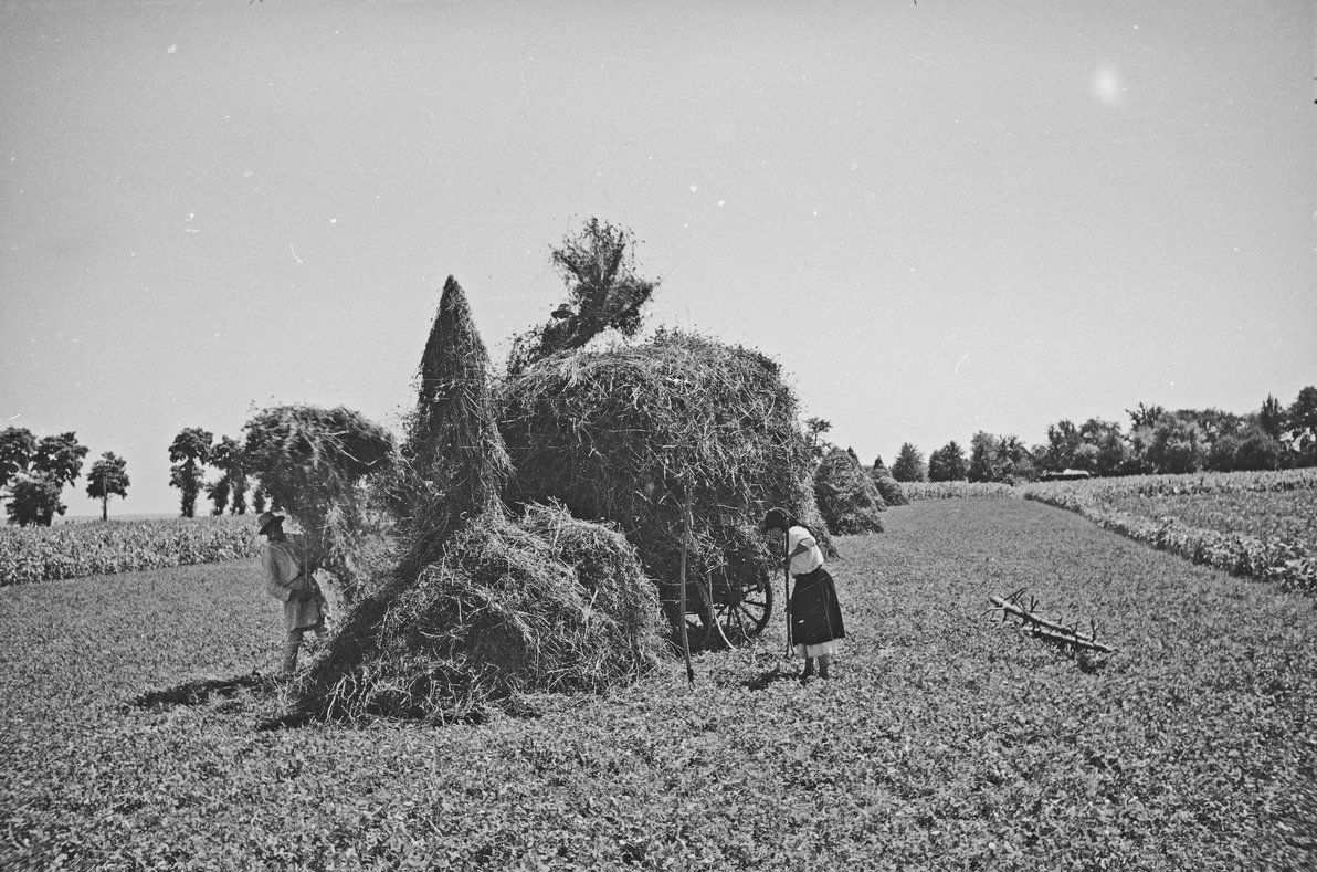 Чепурне село біля Снятина: Тулова понад 100 років тому 1