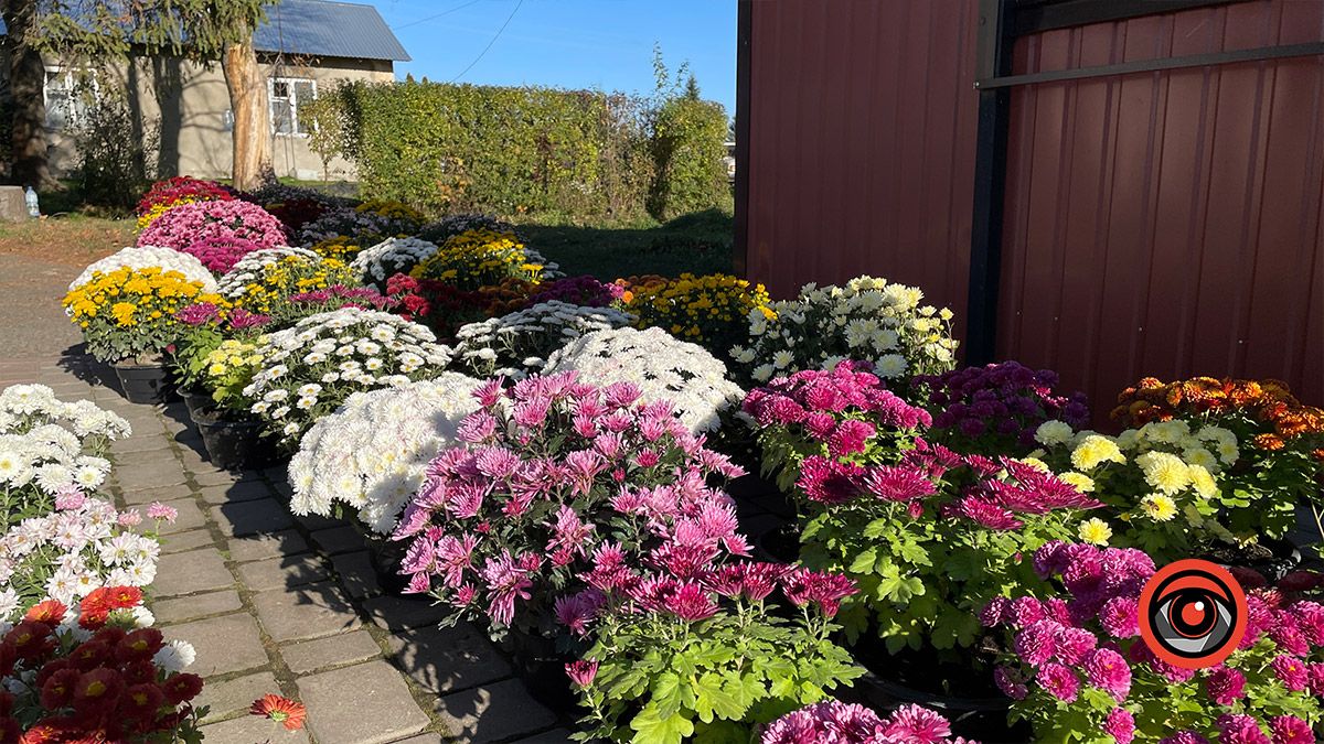 Яка у Коломиї ціна на свічки, лампадки, живі й штучні квіти для кладовищ 4