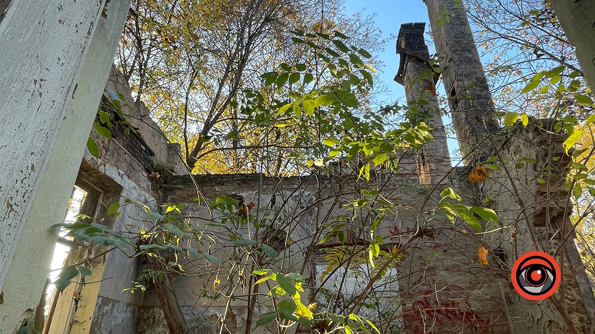 Місце, де давно не вирощують красу: руїни оранжереї в Коломиї 7