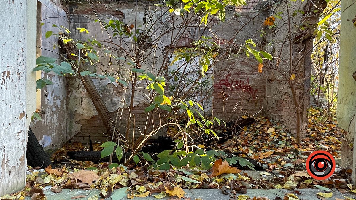 Місце, де давно не вирощують красу: руїни оранжереї в Коломиї 4