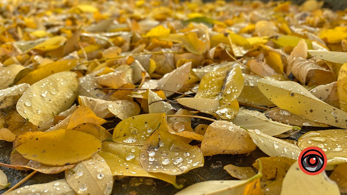 Погода у Коломиї 7 листопада