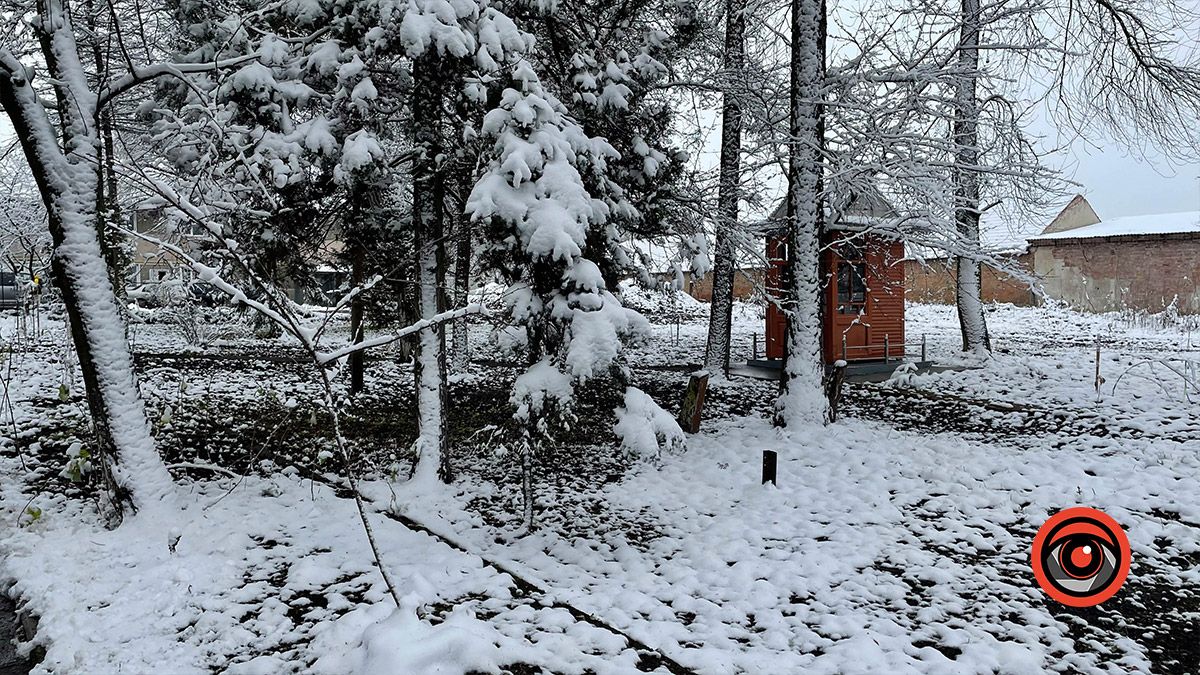 "Тепло крилатої душі": у Ценяві відкрили оздоровчий центр 9