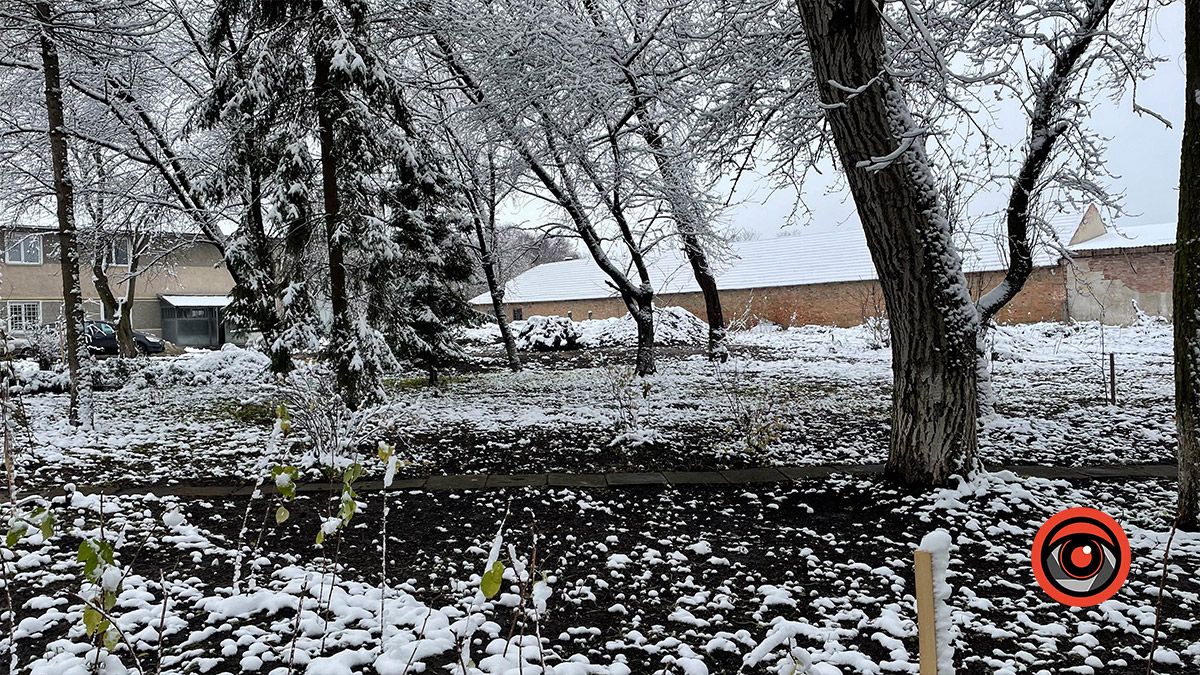 "Тепло крилатої душі": у Ценяві відкрили оздоровчий центр 14