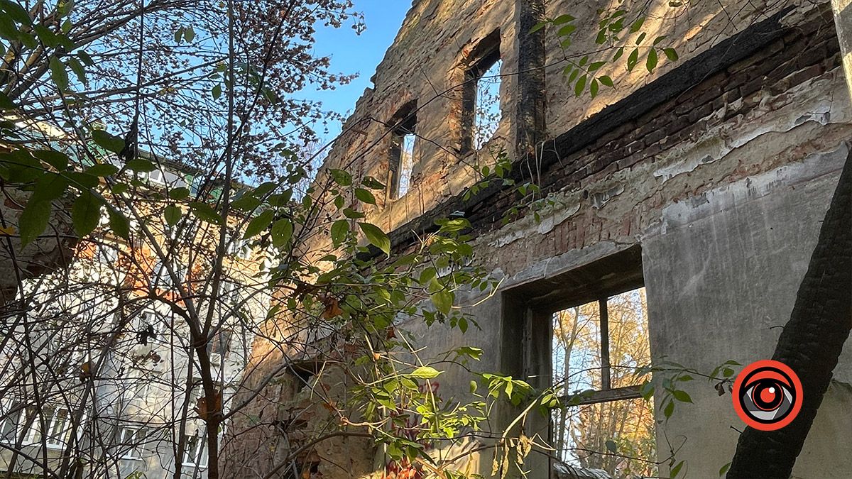 Місце, де давно не вирощують красу: руїни оранжереї в Коломиї 5