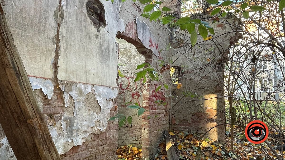 Місце, де давно не вирощують красу: руїни оранжереї в Коломиї 6