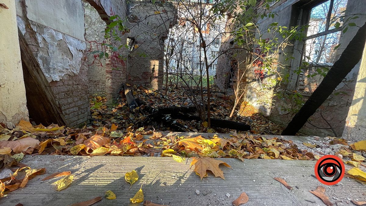 Місце, де давно не вирощують красу: руїни оранжереї в Коломиї 3