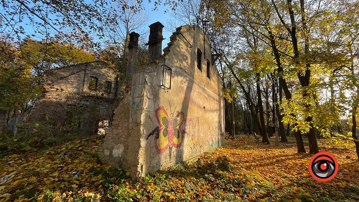 Місце, де давно не вирощують красу: руїни оранжереї в Коломиї 2