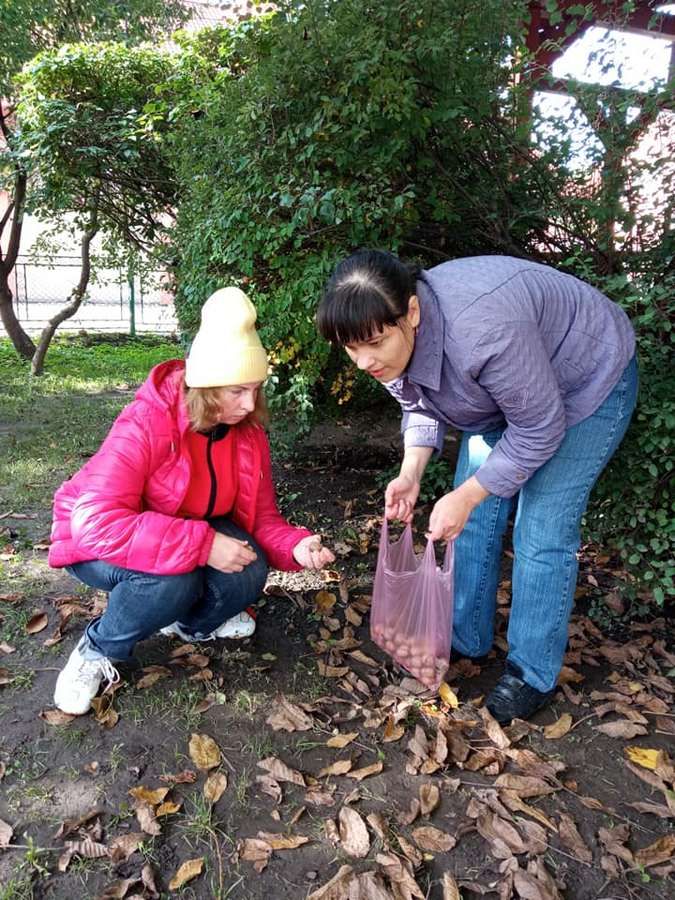 Працетерапія: коломийська молодь з інвалідністю громадить листя 6