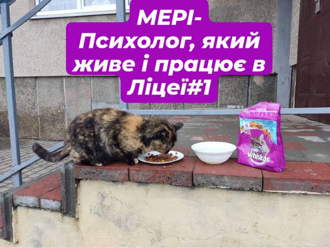 Вірні друзі та щирі емоції: чотирилапі шукають домівку 14