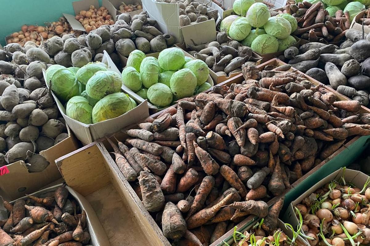 У селі на Городенківщині виготовляють сухі борщі для ЗСУ 3