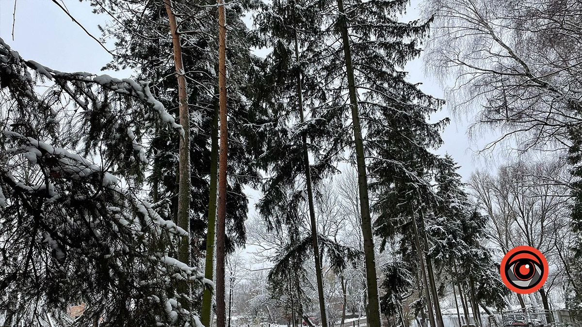 "Тепло крилатої душі": у Ценяві відкрили оздоровчий центр 10