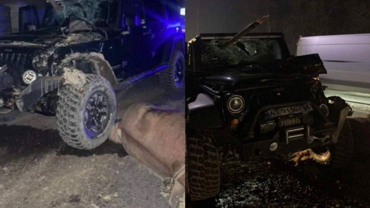 Внаслідок ДТП у Микуличині загинув кінь