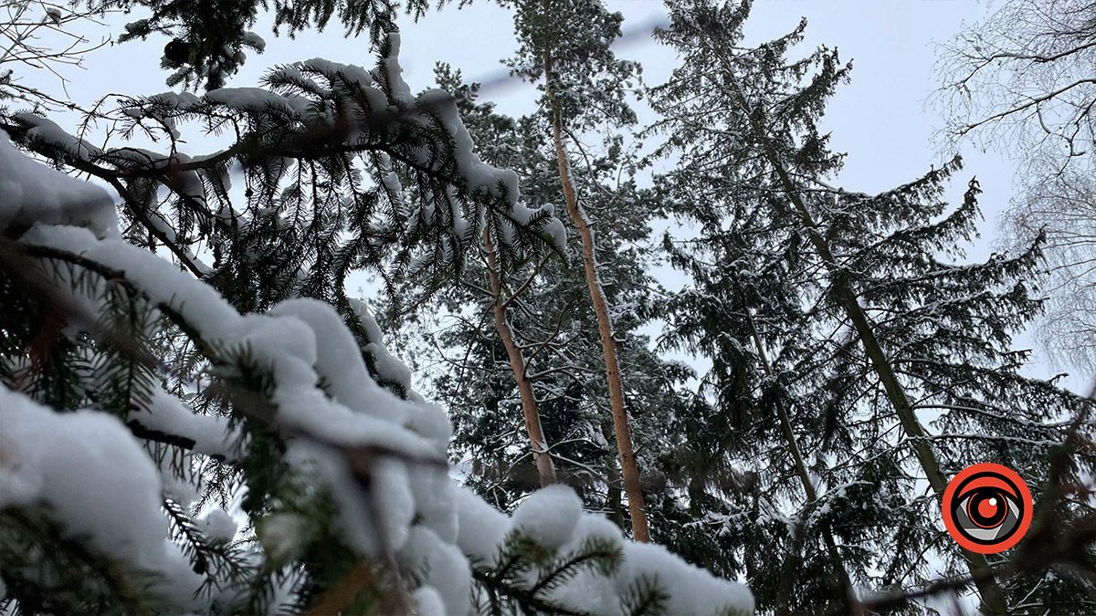 Зима морозяна надворі: прогноз погоди на 21 листопада