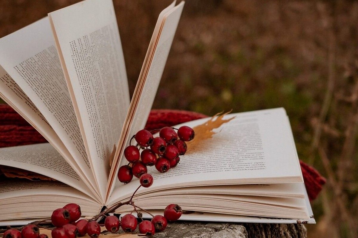 9 листопада: що святкують в Україні та світі? 1