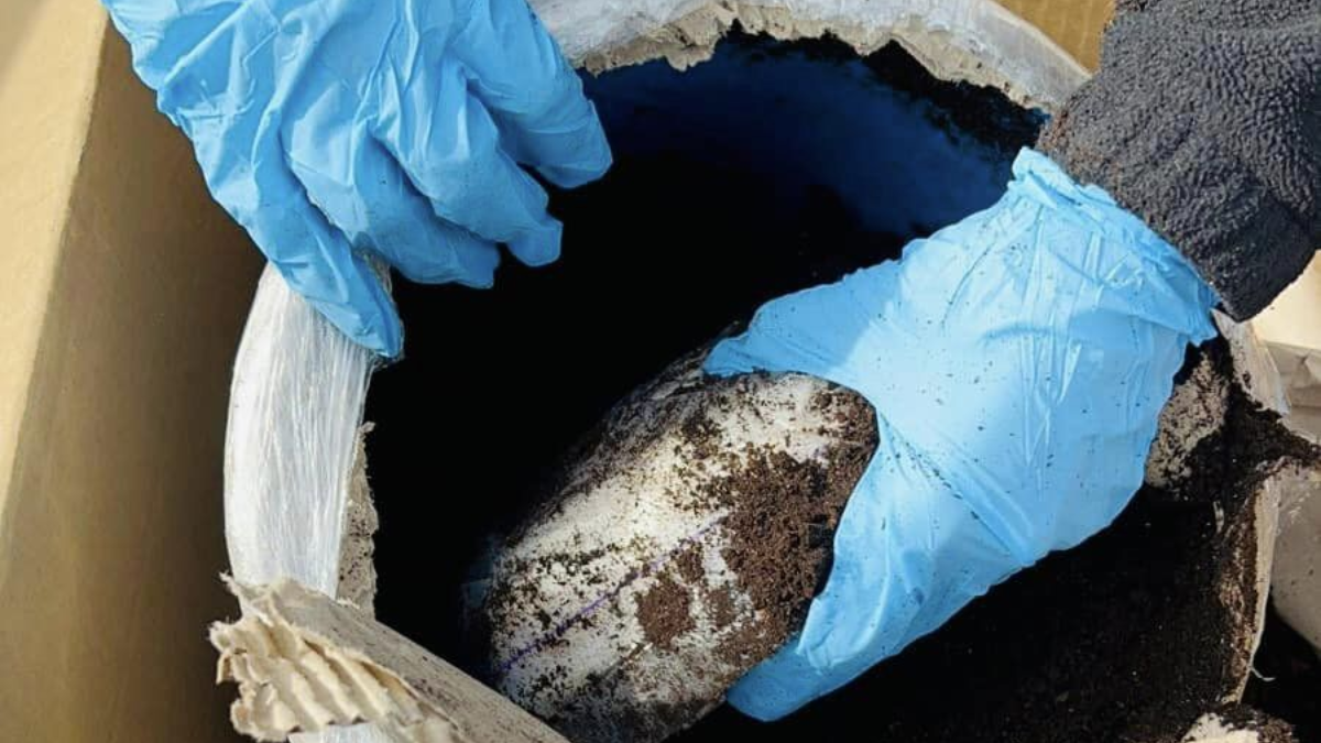 На Коломийщині поліція вилучила наркотики на півмільйона гривень 3