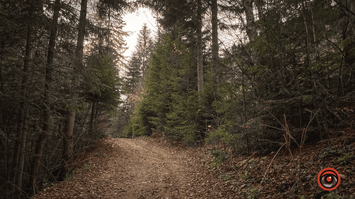 Український Стоунхендж у Карпатах | Місце для відпочинку 3