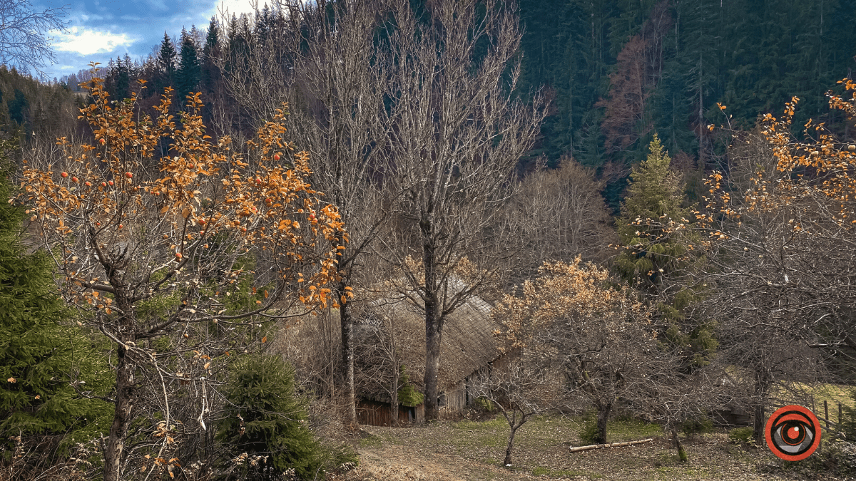 Український Стоунхендж у Карпатах | Місце для відпочинку 5