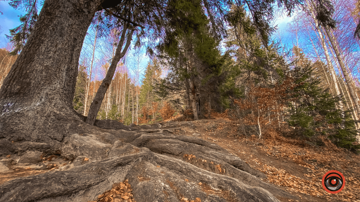 Український Стоунхендж у Карпатах | Місце для відпочинку 21